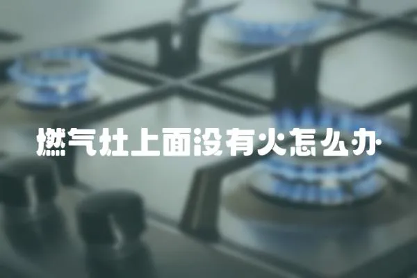 燃?xì)庠钌厦鏇]有火怎么辦