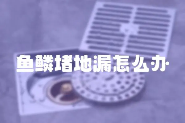 魚鱗堵地漏怎么辦