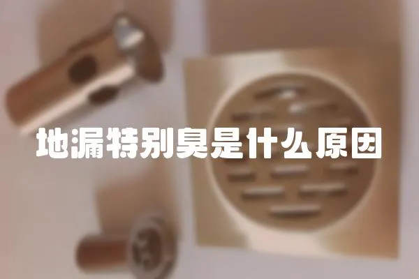 地漏特別臭是什么原因