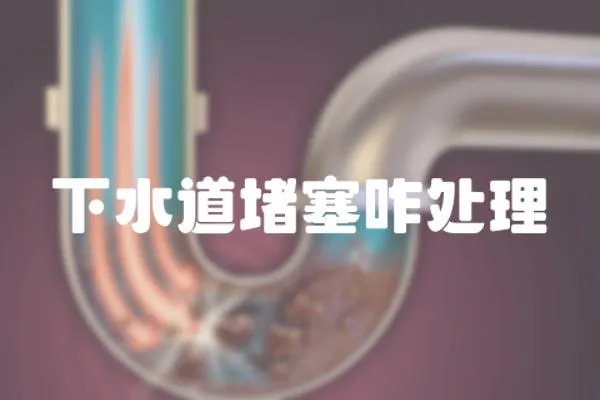 下水道堵塞咋處理