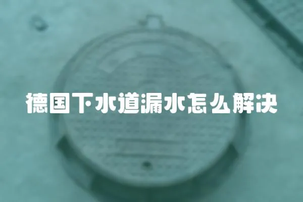 德國下水道漏水怎么解決