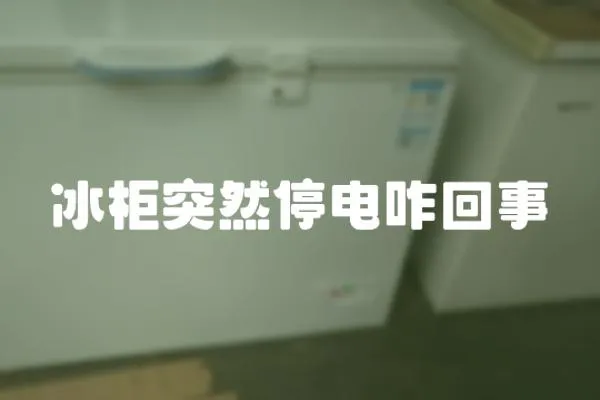 冰柜突然停電咋回事