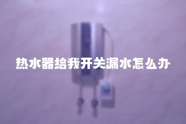 熱水器給我開關漏水怎么辦