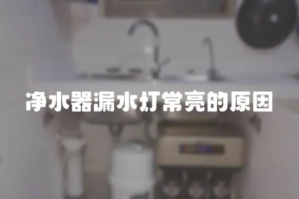 净水器漏水灯常亮的原因