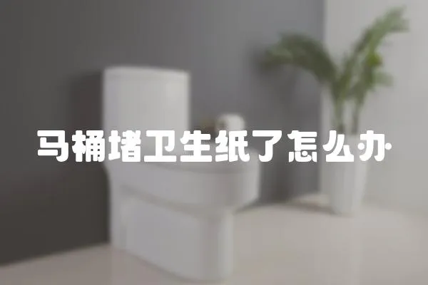 馬桶堵衛(wèi)生紙了怎么辦