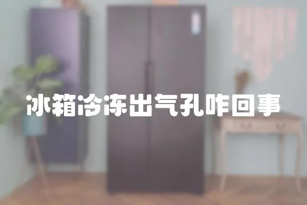 冰箱冷凍出氣孔咋回事