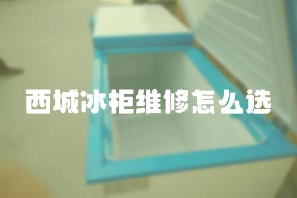 西城冰柜維修怎么選