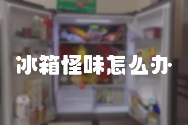 冰箱怪味怎么辦