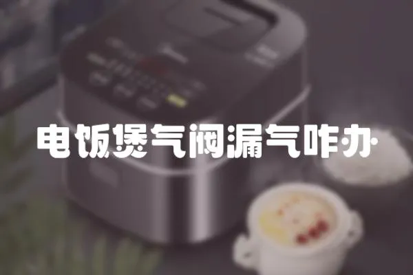 電飯煲氣閥漏氣咋辦