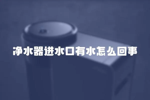 凈水器進(jìn)水口有水怎么回事
