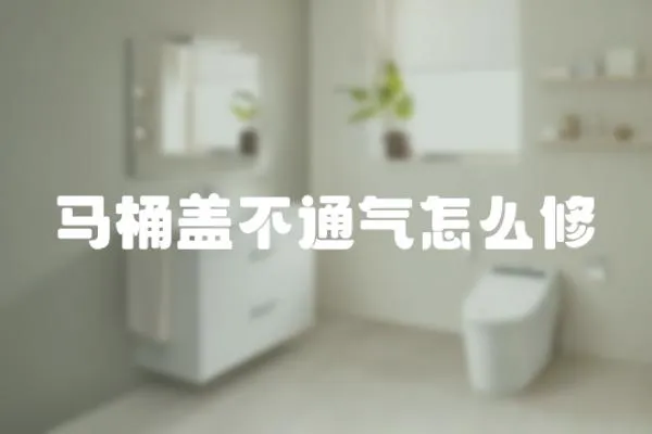 馬桶蓋不通氣怎么修