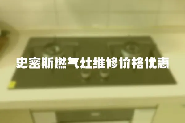 史密斯燃?xì)庠罹S修價(jià)格優(yōu)惠