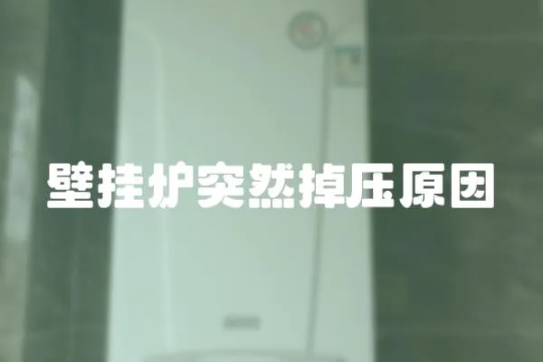 壁掛爐突然掉壓原因