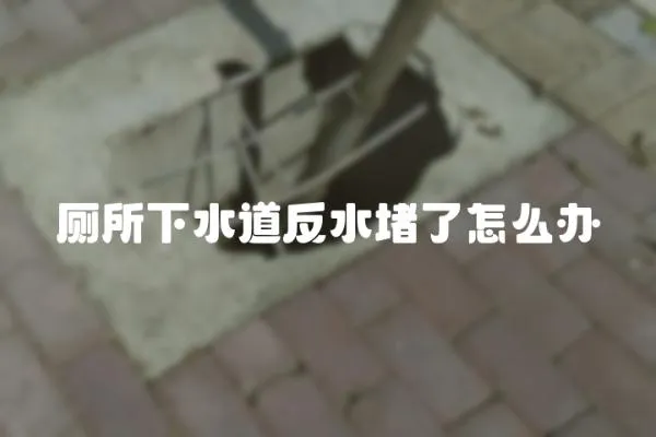 廁所下水道反水堵了怎么辦