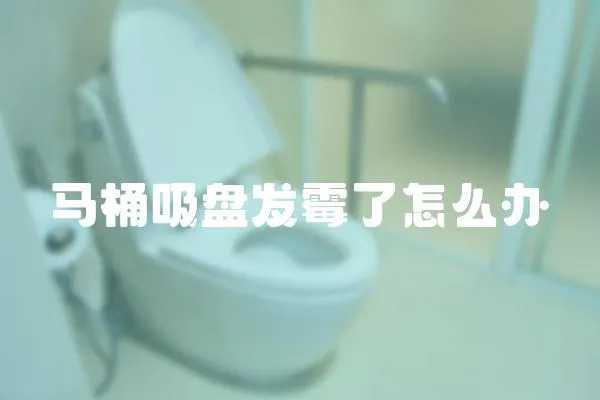 馬桶吸盤發(fā)霉了怎么辦