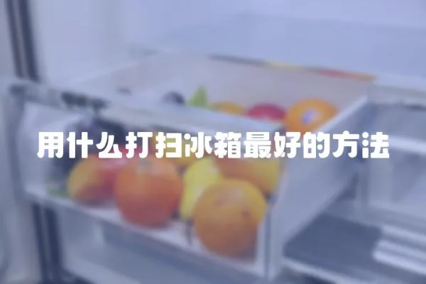 用什么打扫冰箱最好的方法