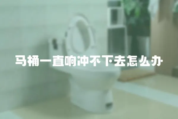 馬桶一直響沖不下去怎么辦
