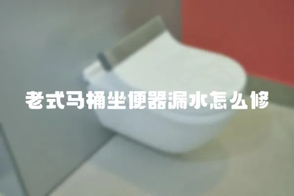 老式馬桶坐便器漏水怎么修