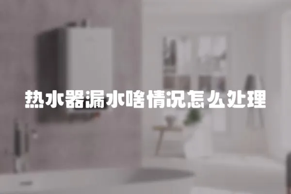 熱水器漏水啥情況怎么處理