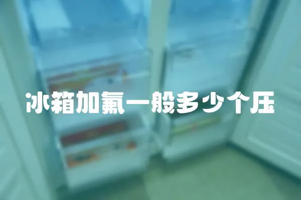 冰箱加氟一般多少個壓