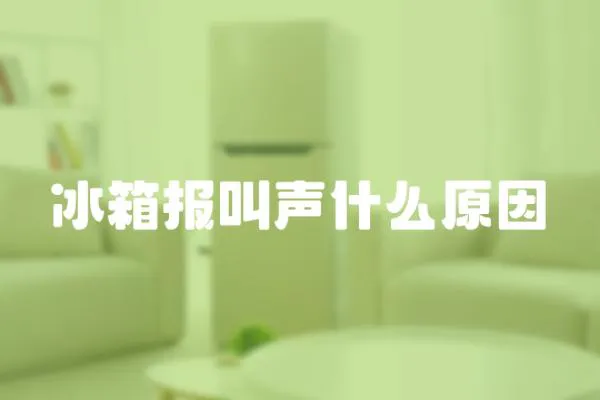 冰箱報叫聲什么原因