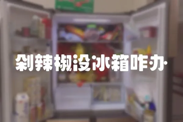 剁辣椒沒冰箱咋辦