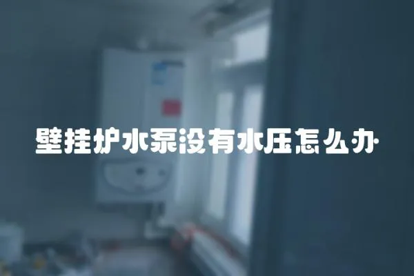 壁掛爐水泵沒有水壓怎么辦