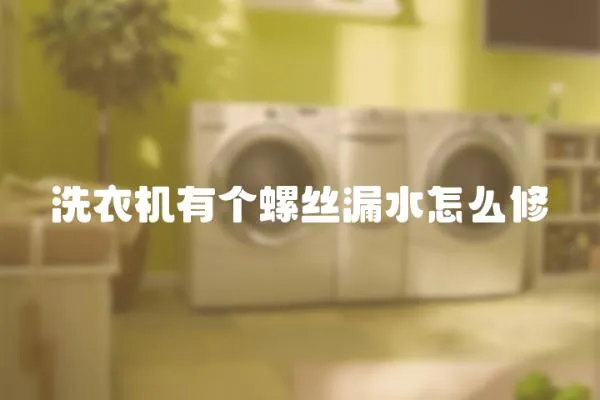 洗衣機(jī)有個螺絲漏水怎么修