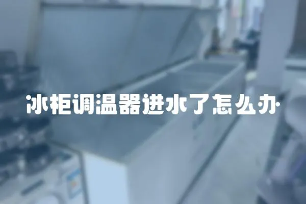 冰柜調溫器進水了怎么辦