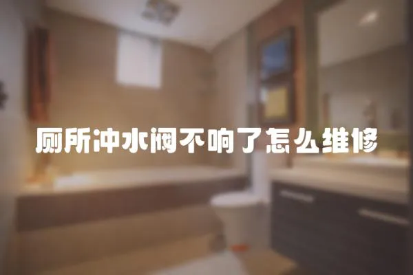 廁所沖水閥不響了怎么維修