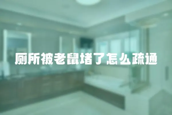 廁所被老鼠堵了怎么疏通