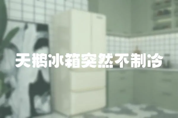 天鵝冰箱突然不制冷