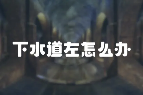 下水道左怎么辦