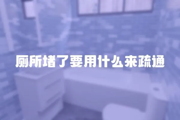廁所堵了要用什么來疏通