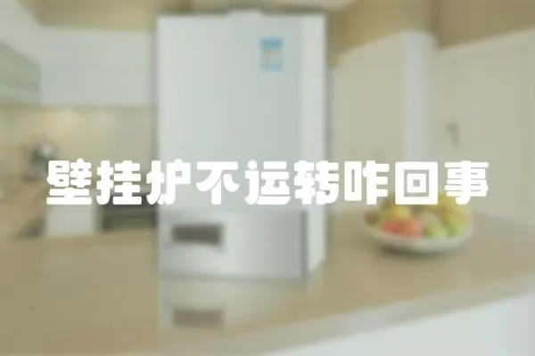 壁掛爐不運轉咋回事