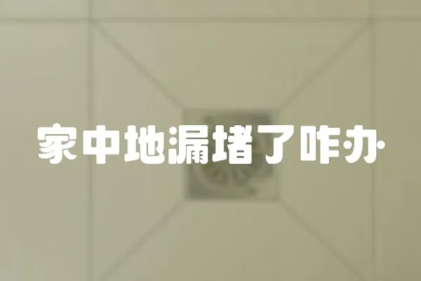 家中地漏堵了咋辦