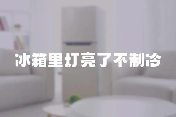 冰箱里燈亮了不制冷