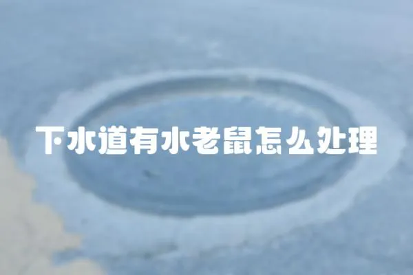 下水道有水老鼠怎么處理