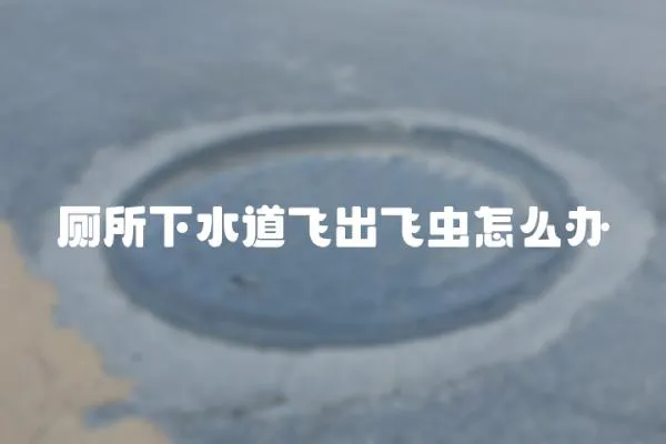 廁所下水道飛出飛蟲怎么辦