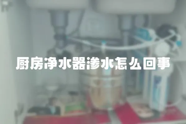 廚房凈水器滲水怎么回事