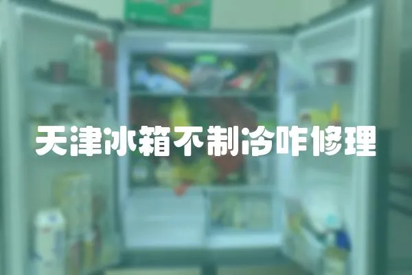 天津冰箱不制冷咋修理
