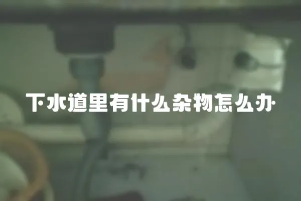 下水道里有什么雜物怎么辦