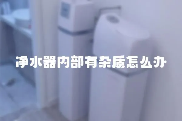 凈水器內部有雜質怎么辦