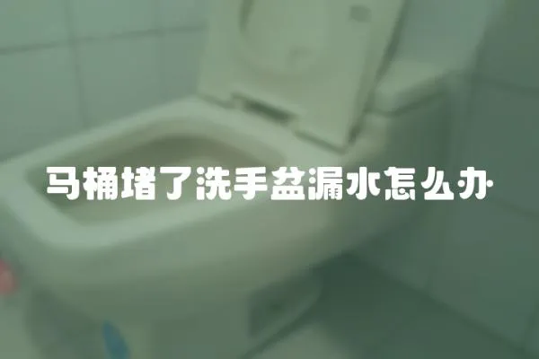 馬桶堵了洗手盆漏水怎么辦