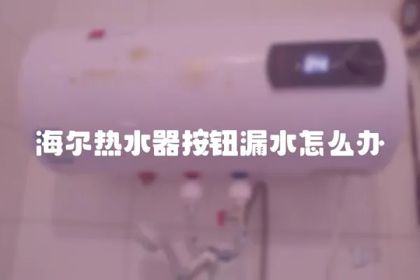 海爾熱水器按鈕漏水怎么辦