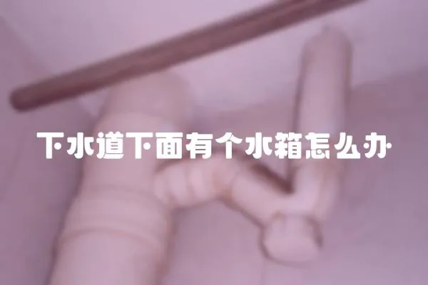 下水道下面有個水箱怎么辦