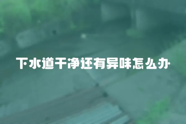 下水道干凈還有異味怎么辦