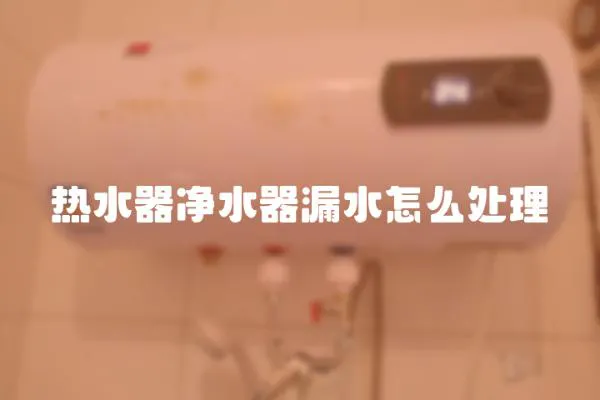 熱水器凈水器漏水怎么處理