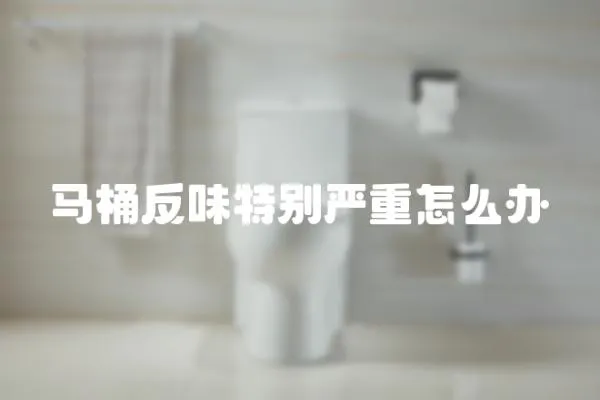 馬桶反味特別嚴重怎么辦
