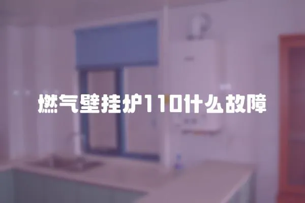 燃氣壁掛爐110什么故障
